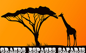 Grandsespacessafaris | For your memorable safari experience