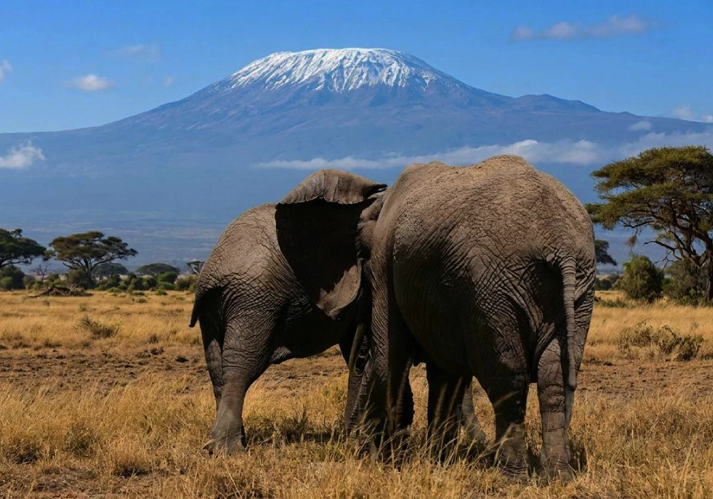 Parc National d'Amboseli