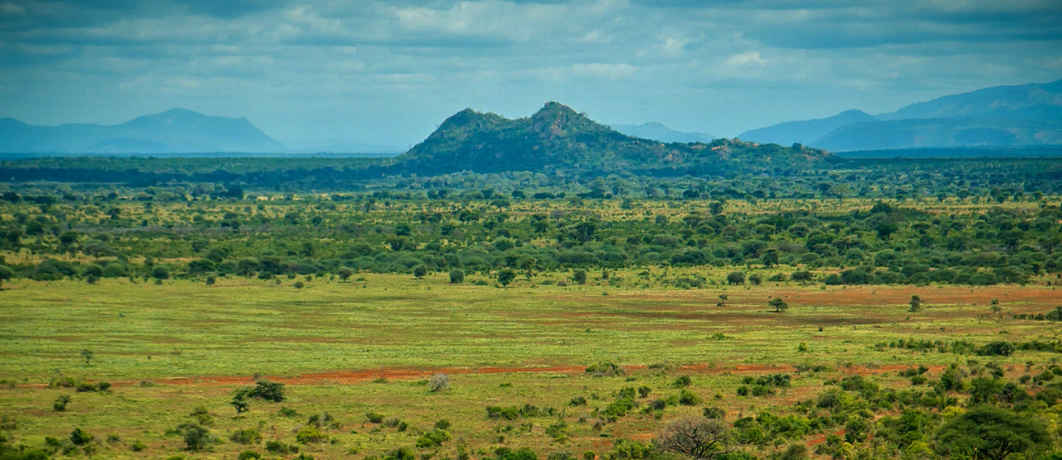 Parc National de Meru