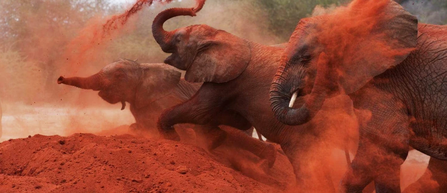 Parc National de Tsavo Est