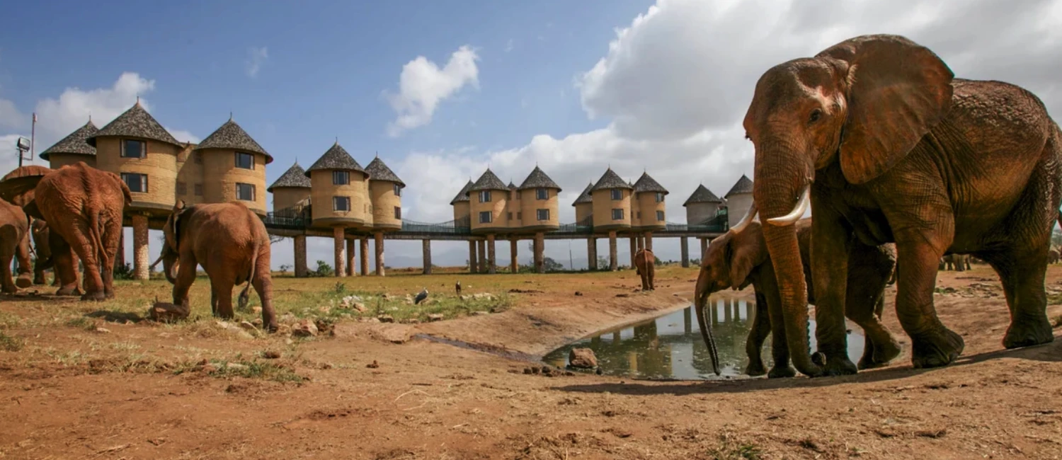 tsavo-east