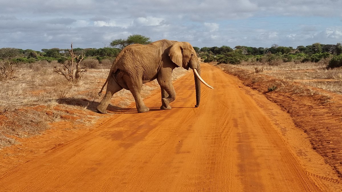 Parc National d'Amboseli